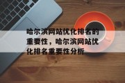 哈尔滨网站优化排名的重要性，哈尔滨网站优化排名重要性分析，哈尔滨网站优化排名的重要性