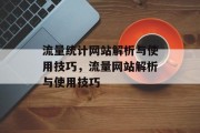 流量统计网站解析与使用技巧，流量网站解析与使用技巧