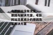 电影网站没有流量——原因与解决方案，电影网站流量减少的原因及其解决方案，电影网站流量下降，原因解析及解决策略