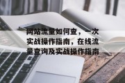 网站流量如何查，一次实战操作指南，在线流量查询及实战操作指南，在线流量查询，实战操作指南