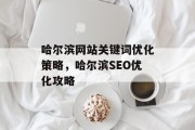 哈尔滨网站关键词优化策略，哈尔滨SEO优化攻略，哈尔滨SEO优化攻略