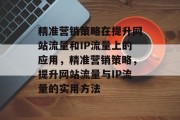 精准营销策略在提升网站流量和IP流量上的应用，精准营销策略，提升网站流量与IP流量的实用方法，精准营销策略，提升网站流量与IP流量的有效方法