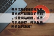 共享流量网站的崛起及其未来可能面临的挑战，流量网站崛起，挑战与机遇并存，共享互联网将如何发展?，流量网站崛起，挑战、机遇及未来发展