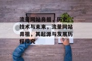 流量网站鼻祖，历史、技术与未来，流量网站鼻祖，其起源与发展历程探究