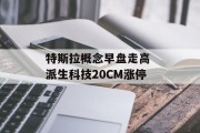 特斯拉概念早盘走高 派生科技20CM涨停