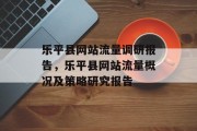 乐平县网站流量调研报告，乐平县网站流量概况及策略研究报告，乐平县网站流量概览与策略研究报告