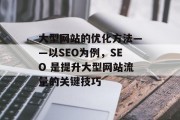 大型网站的优化方法——以SEO为例，SEO 是提升大型网站流量的关键技巧，提升网站流量，使用SEO优化方法，优化大型网站流量