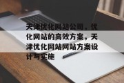 天津优化网站公司，优化网站的高效方案，天津优化网站网站方案设计与实施，天津网站优化公司方案设计