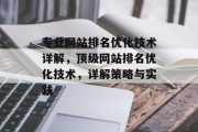 专业网站排名优化技术详解，顶级网站排名优化技术，详解策略与实践