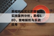 黑帽网站优化的策略及实践案例分析，黑帽SEO，策略解析与实战应用，黑帽网站优化，策略解析与实战应用