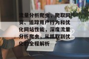 流量分析爬虫，爬取网页、追踪用户行为和优化网站性能，深度流量分析爬虫，从抓取到优化的全程解析