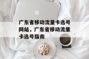 广东省移动流量卡选号网站，广东省移动流量卡选号指南，广东省移动流量卡选号，详细指南