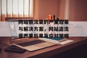 网站偷流量的严重后果与解决方案，网站盗流量严重后果及应对策略，网站偷流量的危害与对策