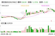 湘佳股份前三季度利润分配预案：拟10派2元