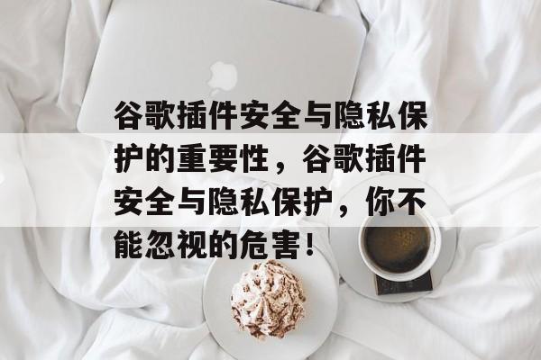 谷歌插件安全与隐私保护的重要性，谷歌插件安全与隐私保护，你不能忽视的危害！