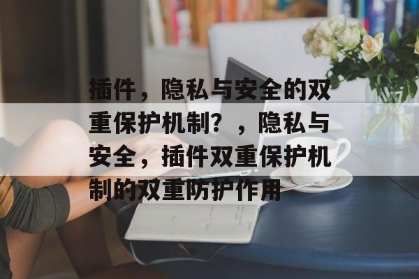 插件，隐私与安全的双重保护机制？，隐私与安全，插件双重保护机制的双重防护作用