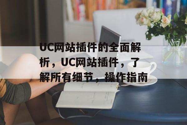 UC网站插件的全面解析，UC网站插件，了解所有细节，操作指南