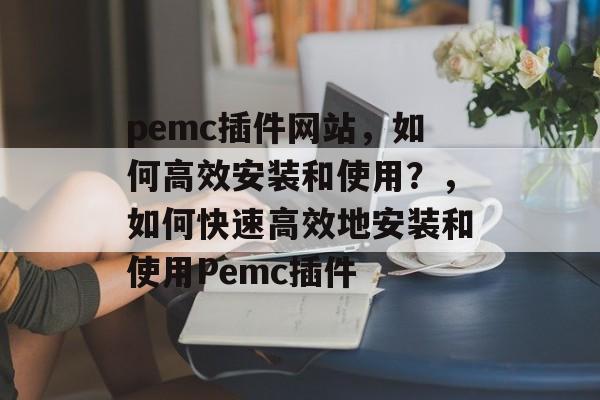 pemc插件网站，如何高效安装和使用？，如何快速高效地安装和使用Pemc插件