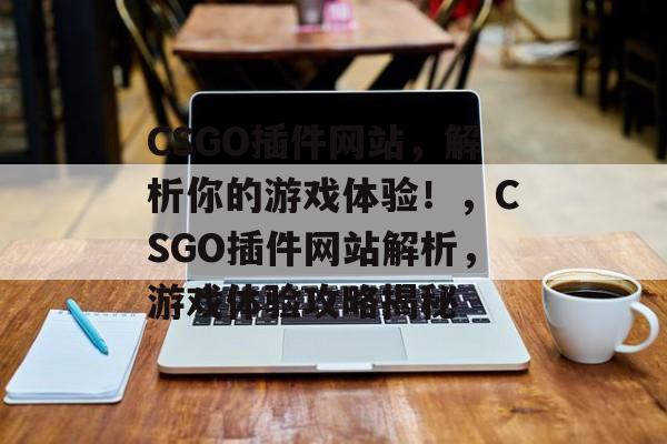 CSGO插件网站，解析你的游戏体验！，CSGO插件网站解析，游戏体验攻略揭秘