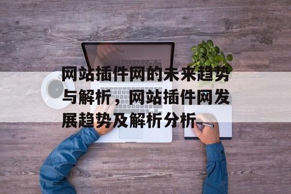 网站插件网的未来趋势与解析，网站插件网发展趋势及解析分析