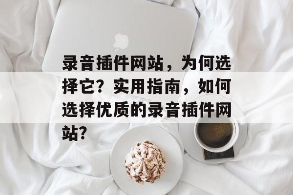 录音插件网站，为何选择它？实用指南，如何选择优质的录音插件网站？