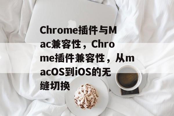 Chrome插件与Mac兼容性，Chrome插件兼容性，从macOS到iOS的无缝切换