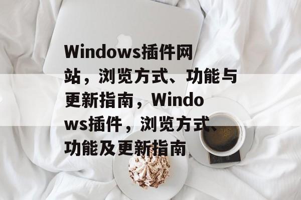 Windows插件网站，浏览方式、功能与更新指南，Windows插件，浏览方式、功能及更新指南