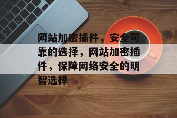 网站加密插件，安全可靠的选择，网站加密插件，保障网络安全的明智选择