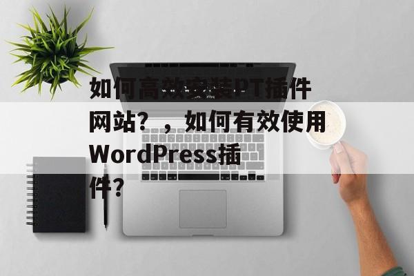 如何高效安装PT插件网站？，如何有效使用WordPress插件？