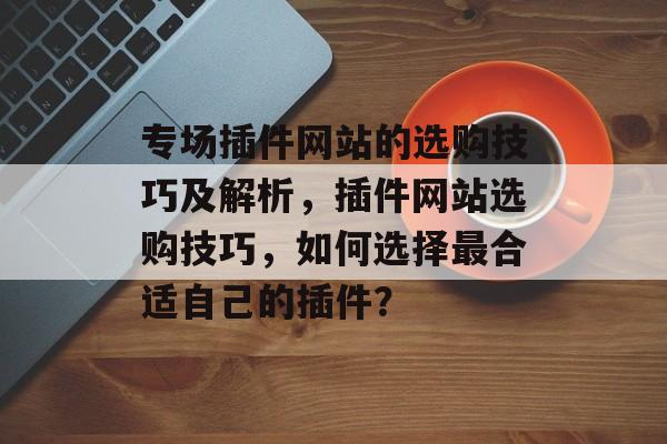 专场插件网站的选购技巧及解析，插件网站选购技巧，如何选择最合适自己的插件？