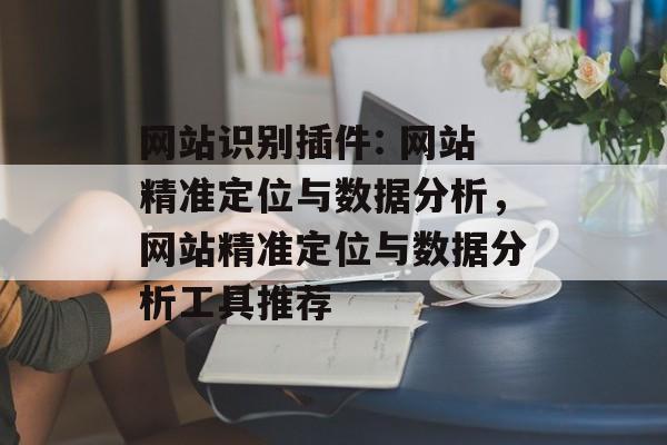 网站识别插件: 网站精准定位与数据分析，网站精准定位与数据分析工具推荐