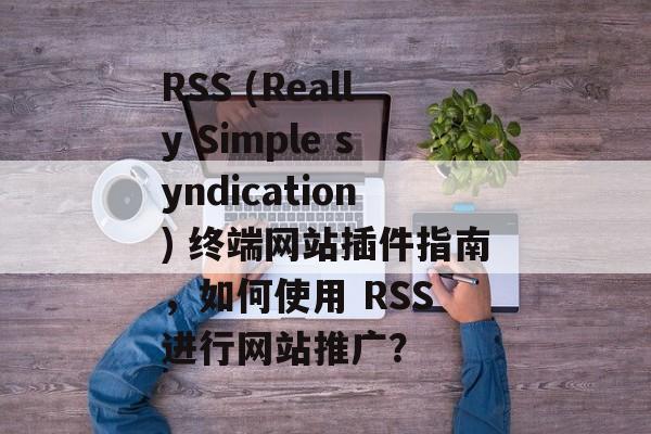 RSS (Really Simple syndication) 终端网站插件指南，如何使用 RSS 进行网站推广？