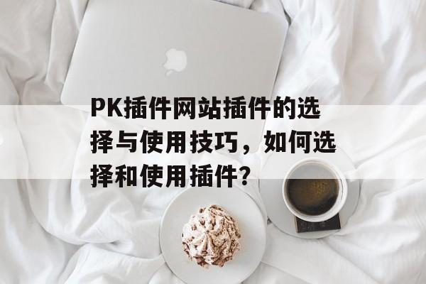 PK插件网站插件的选择与使用技巧，如何选择和使用插件？