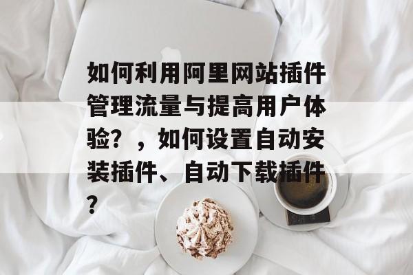 如何利用阿里网站插件管理流量与提高用户体验？，如何设置自动安装插件、自动下载插件？