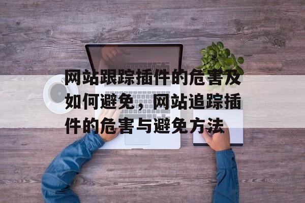 网站跟踪插件的危害及如何避免，网站追踪插件的危害与避免方法