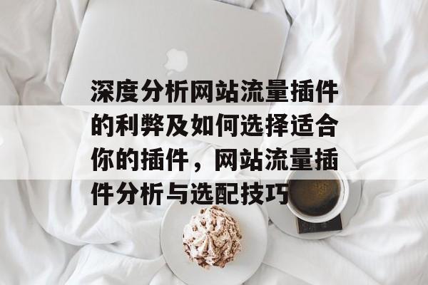 深度分析网站流量插件的利弊及如何选择适合你的插件，网站流量插件分析与选配技巧