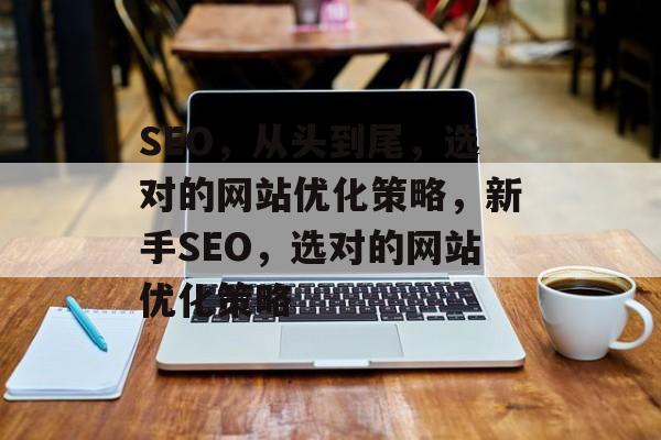 SEO，从头到尾，选对的网站优化策略，新手SEO，选对的网站优化策略