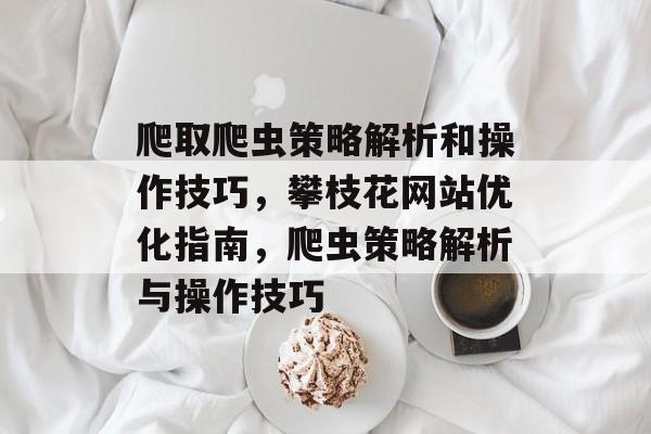 爬取爬虫策略解析和操作技巧，攀枝花网站优化指南，爬虫策略解析与操作技巧