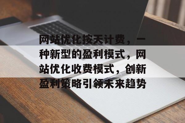 网站优化按天计费，一种新型的盈利模式，网站优化收费模式，创新盈利策略引领未来趋势