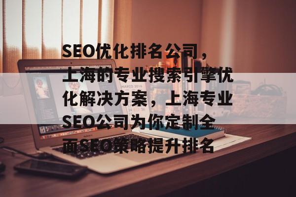 SEO优化排名公司，上海的专业搜索引擎优化解决方案，上海专业SEO公司为你定制全面SEO策略提升排名