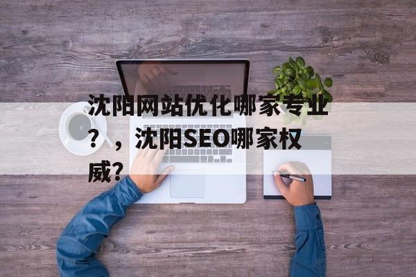 沈阳网站优化哪家专业？，沈阳SEO哪家权威？