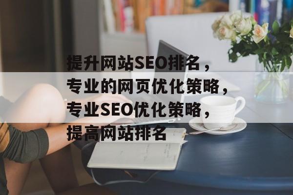 提升网站SEO排名，专业的网页优化策略，专业SEO优化策略，提高网站排名