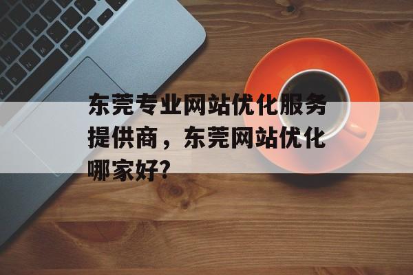 东莞专业网站优化服务提供商，东莞网站优化哪家好?