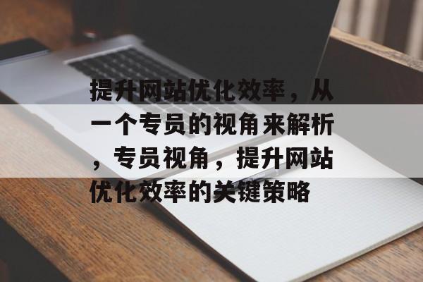 提升网站优化效率，从一个专员的视角来解析，专员视角，提升网站优化效率的关键策略