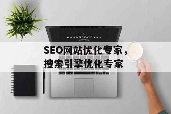 SEO网站优化专家，搜索引擎优化专家