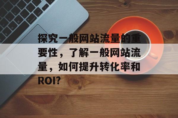 探究一般网站流量的重要性，了解一般网站流量，如何提升转化率和ROI?