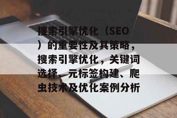 搜索引擎优化（SEO）的重要性及其策略，搜索引擎优化，关键词选择、元标签构建、爬虫技术及优化案例分析