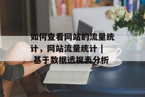 如何查看网站的流量统计，网站流量统计 | 基于数据透视表分析