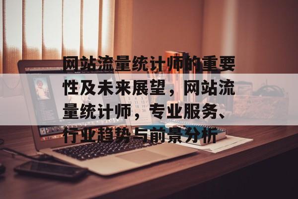 网站流量统计师的重要性及未来展望，网站流量统计师，专业服务、行业趋势与前景分析