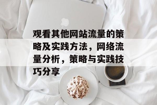 观看其他网站流量的策略及实践方法，网络流量分析，策略与实践技巧分享